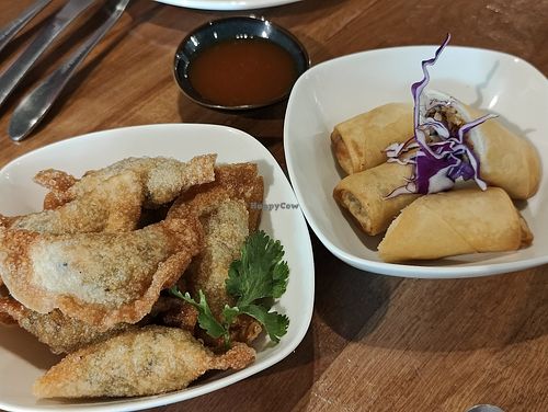 Fried dumplings & spring rolls. 👍 at Real Food 真食 in Penang