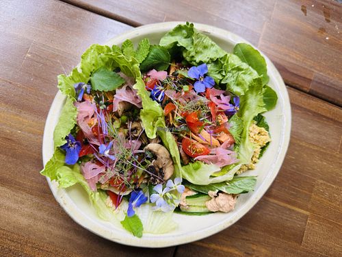   at Kiko's Raw Vegan Cafe & Restaurant in Kyoto