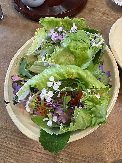   at Kiko's Raw Vegan Cafe & Restaurant in Kyoto