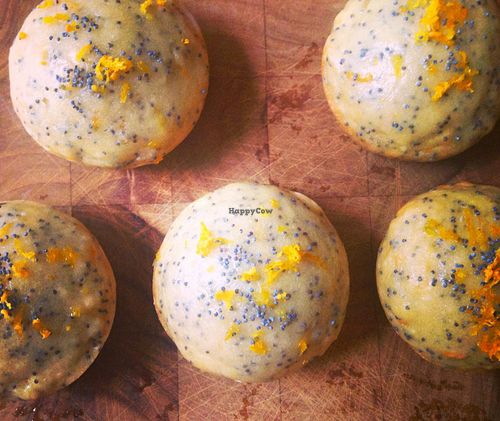 Meyer Lemon-Poppy Seed cakes! at Black Currant in Brooklyn