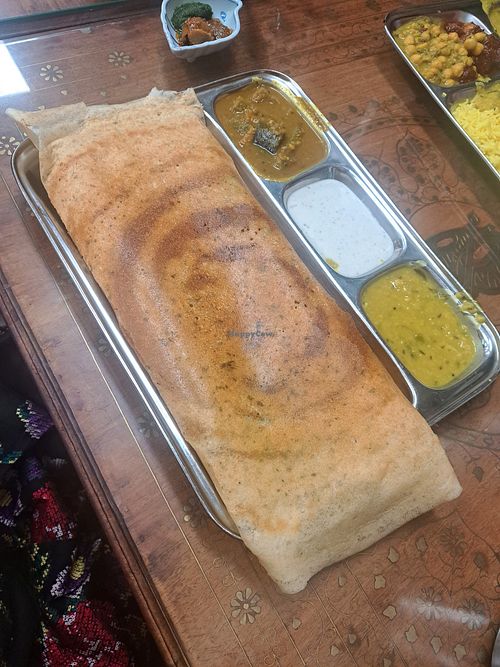 Masala dosa at Curry Affair Malaga in Malaga