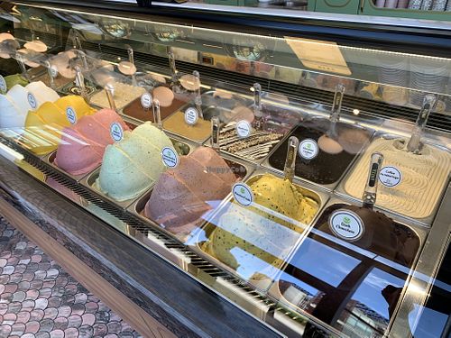 So many vegan gelato options!  at Anita in Cronulla