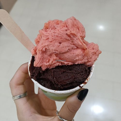 Sugar-free strawberry and chocolate at Gelatissimo Eastland in Ringwood