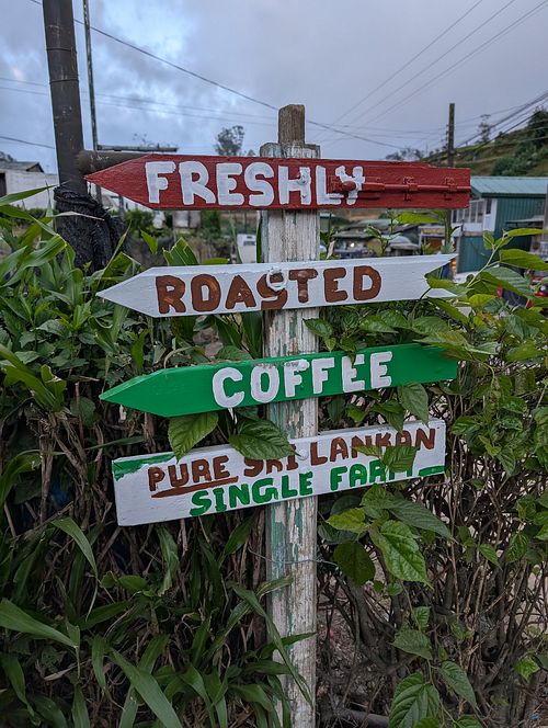  at Blackpool Coffee Bungalow in Nuwara Eliya