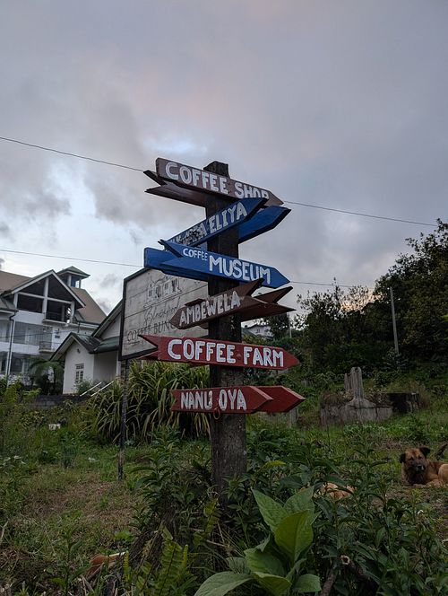  at Blackpool Coffee Bungalow in Nuwara Eliya