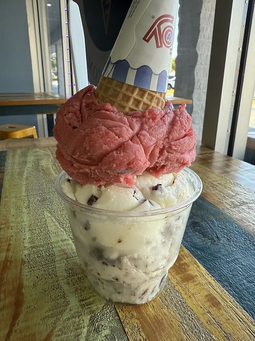 Non-dairy mint chip and cookies and cream with raspberry sorbett  at Lakeland Ice Cream Company - Lakeland Highlands Rd in Lakeland