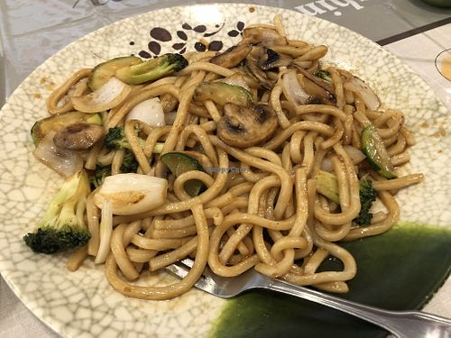Vegetable udon noodles  at Sakura 15 in Bloomington