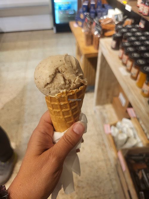 Vegan ice cream at Frosta Deli in Hoeoer