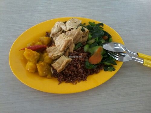 Mixed vege rice at affortable price at Kwan Tzi Zhai Vegetarian Cuisine 觀自齋 - Geylang in Central Singapore