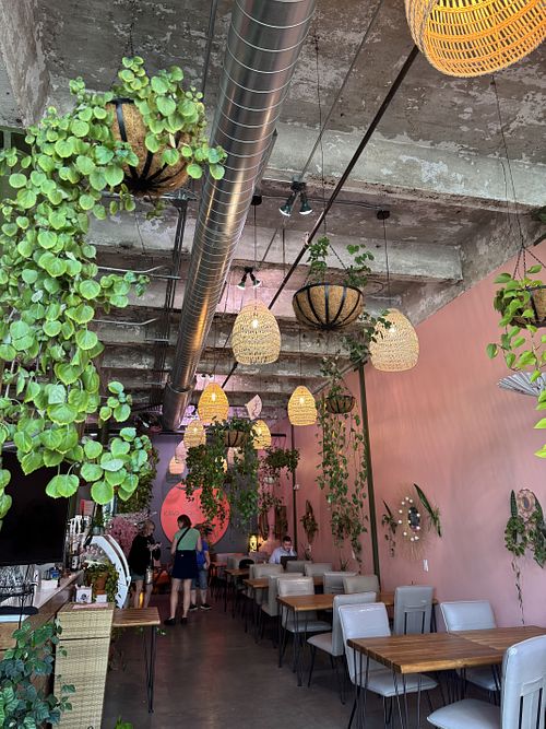   at Kava DSM in Des Moines