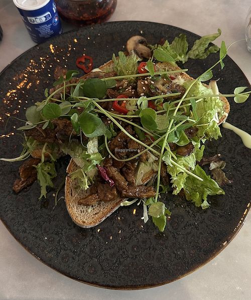   at Hare of the Dog in Haarlem