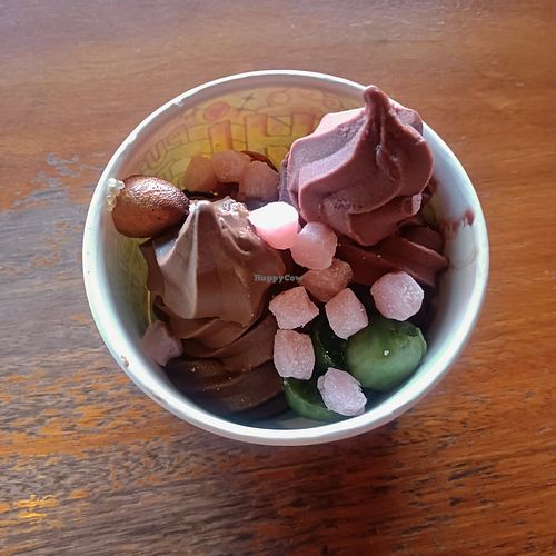 Vegan chocolate and acai at Yo-Chi in Hawthorn