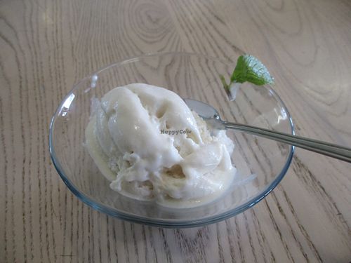 Non-dairy vanilla ice-cream. at Aurelie's Health and Lifestyle Cafe in Johannesburg
