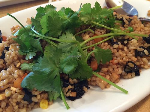 fried rice... very yummy! at Blossom Vegan Restaurant in Pleasanton