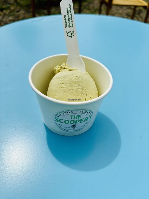   at The Scoopery in Jedburgh