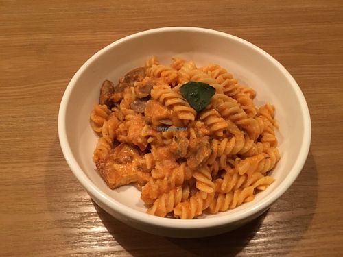 tofu and mushroom stroganoff at Pure and Whole - Shanghai Centre in Shanghai