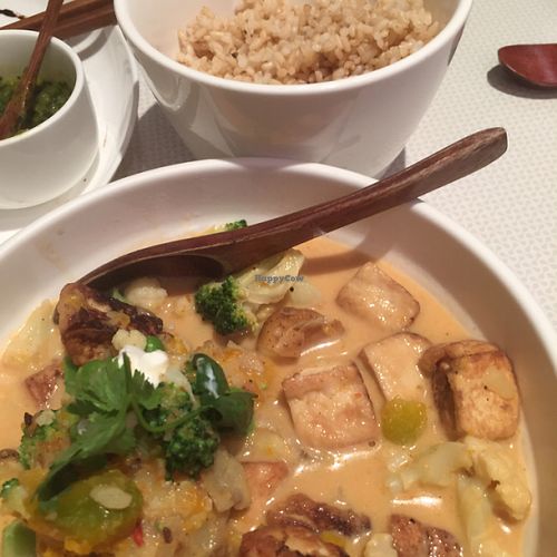 masala curry at Pure and Whole - Shanghai Centre in Shanghai