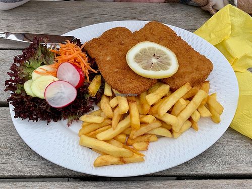 Knusperschnitzel mit Pommes at Kornberghaus in Martinlamitzer Forst-sued