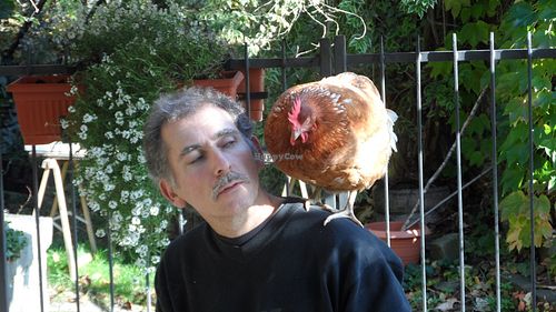 One of our very friendly rescued friends (on the right!) at Brugnola1932 Vegan Country House in Bardi