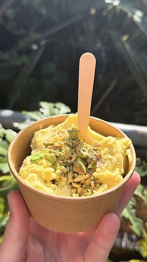   at Francesca's   in York