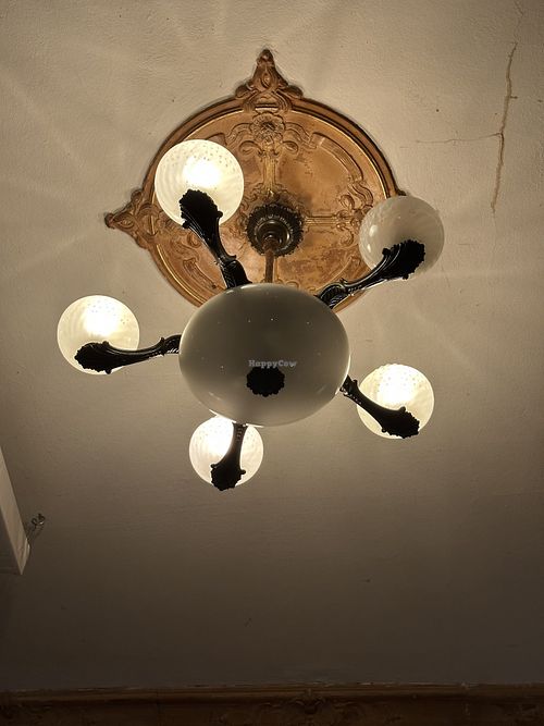   at Frieda Schlamassel in Berlin