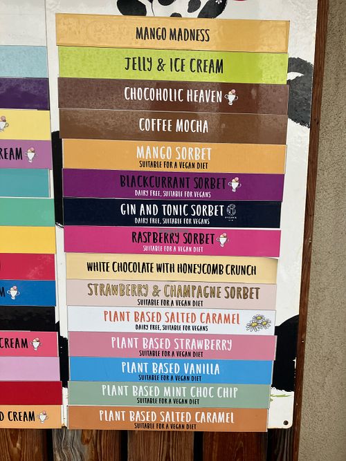 10 flavours suitable for vegans  at Nicey Icey in Seaham