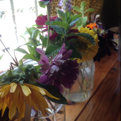 wonderful food ambience and free WIFI at Sneaky Pickle & Bar Brine in New Orleans