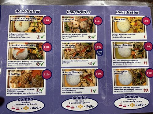 All dishes can be made with firm tofu.  at Kin_d Thai in Fredericia