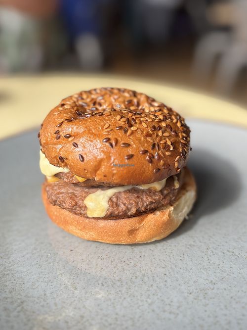 Vegan burger - March ‘25  at Hills in Brecon