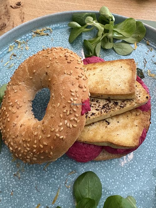 Lezzeno
Mousse di barbabietola, tofu marinato e zucchine grigliate 
Beetroot mousse, marinated tofu and grilled courgettes  at Avenue Bistrot in Como