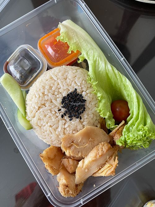 Veg Chicken Rice at OHS Evergreen Food - Mameya - 豆家 in Penang