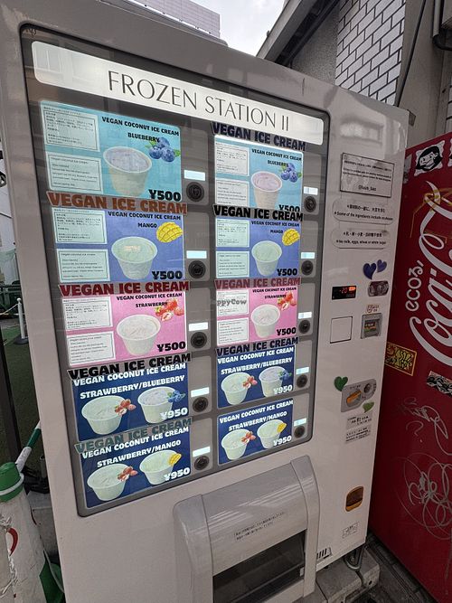 Walk pass by. Many Vegan ice-cream options.   at Frozen Station II in Osaka