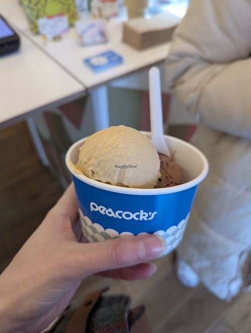 Pumpkin spice and dark chocolate cherry at Peacock's Ice Cream  in Glasgow