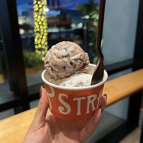 hazelnut cookies and cream and mint chocolate chipp  at Salt & Straw in San Diego