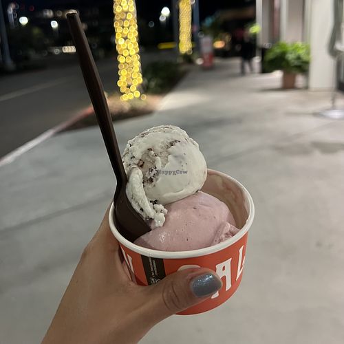 strawberry and coconut water sherbet and freckled mint chocolate chip   at Salt & Straw in San Diego