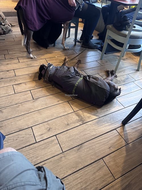   at Coorie by the Coast in Dunfermline