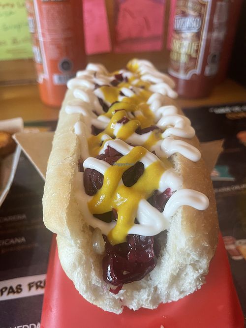 Vegan hot dog. Sauerkraut and caramelized onion. 4900 pesos + 1500 to add fries   at Que Weno Tu Completo in Punta Arenas