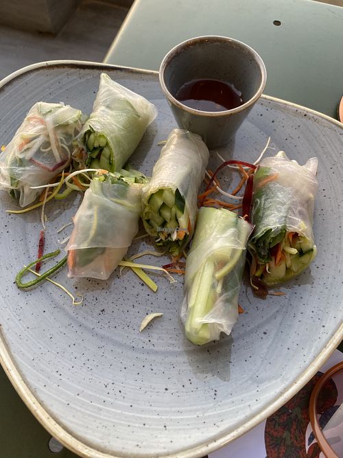 Vietnamese Rolls (no shrimp!)   at Chatterbox in St Pauls Bay