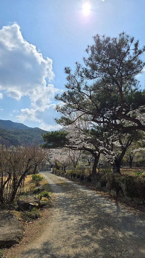  at Café Walden in Daegu