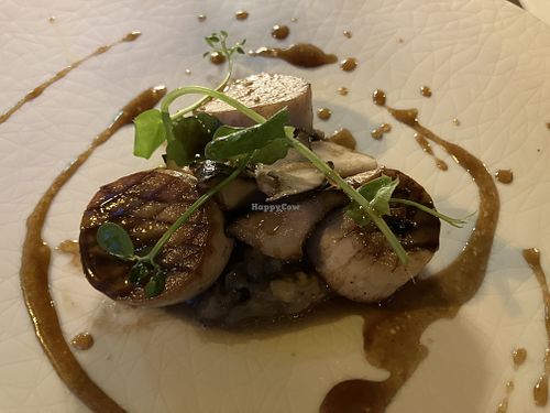 Paddenstoel met aubergine   at The SHOEGE in S-hertogenbosch