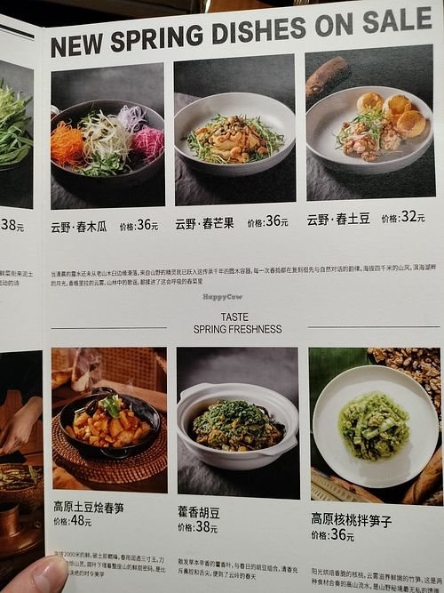 Hot pot plates at Siqian Plateau Yunnan Juntang in Chengdu