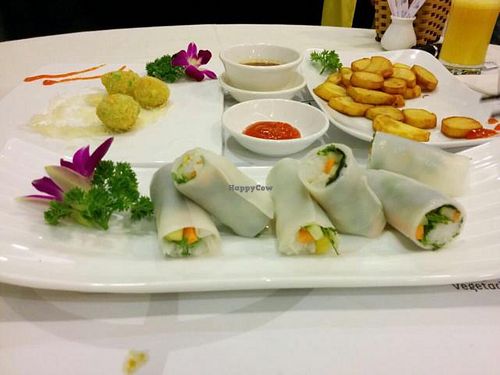 fresh spring rolls at Nha Hang Chay Thien Phat - Old Quarter in Hanoi