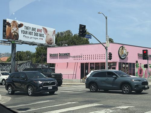   at Voodoo Doughnut in Los Angeles