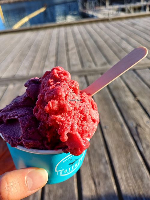 Vegan blackberry-chocolate and raspberry gelato! at Isoteket Nordhavn in Copenhagen