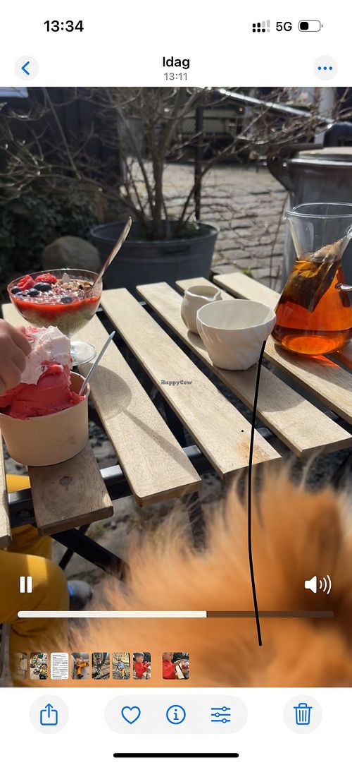  Our fika for the day   at Den Blå Ged in Faarevejle