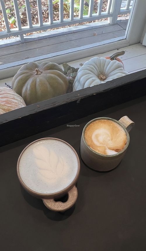   at NOÖK in Sainte Adele