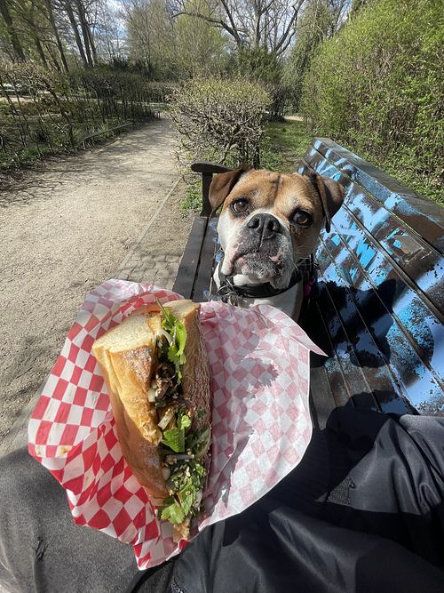 Banh Mi Hoisin BBQ Tofu  at OTTI CHII in Hamburg