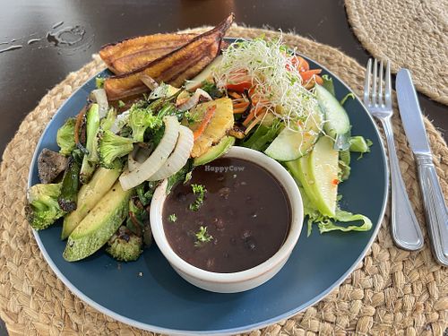 Best vegan casado I’ve ever had made with fresh organic vegetables and rice    at Restaurante Harmony Food in La Fortuna