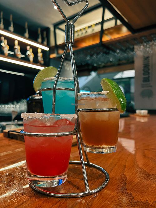 trio de margarita   at Outback Steakhouse  in Passo Fundo