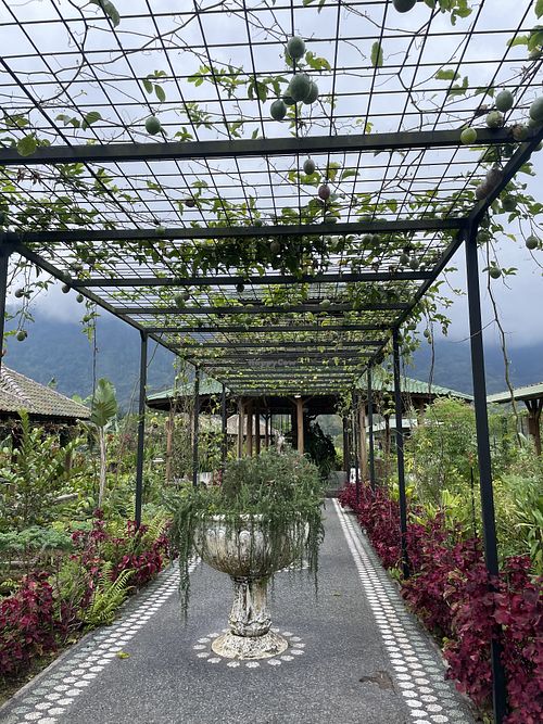 Entering the restaurant   at Asian Spice Pancasari in Tabanan